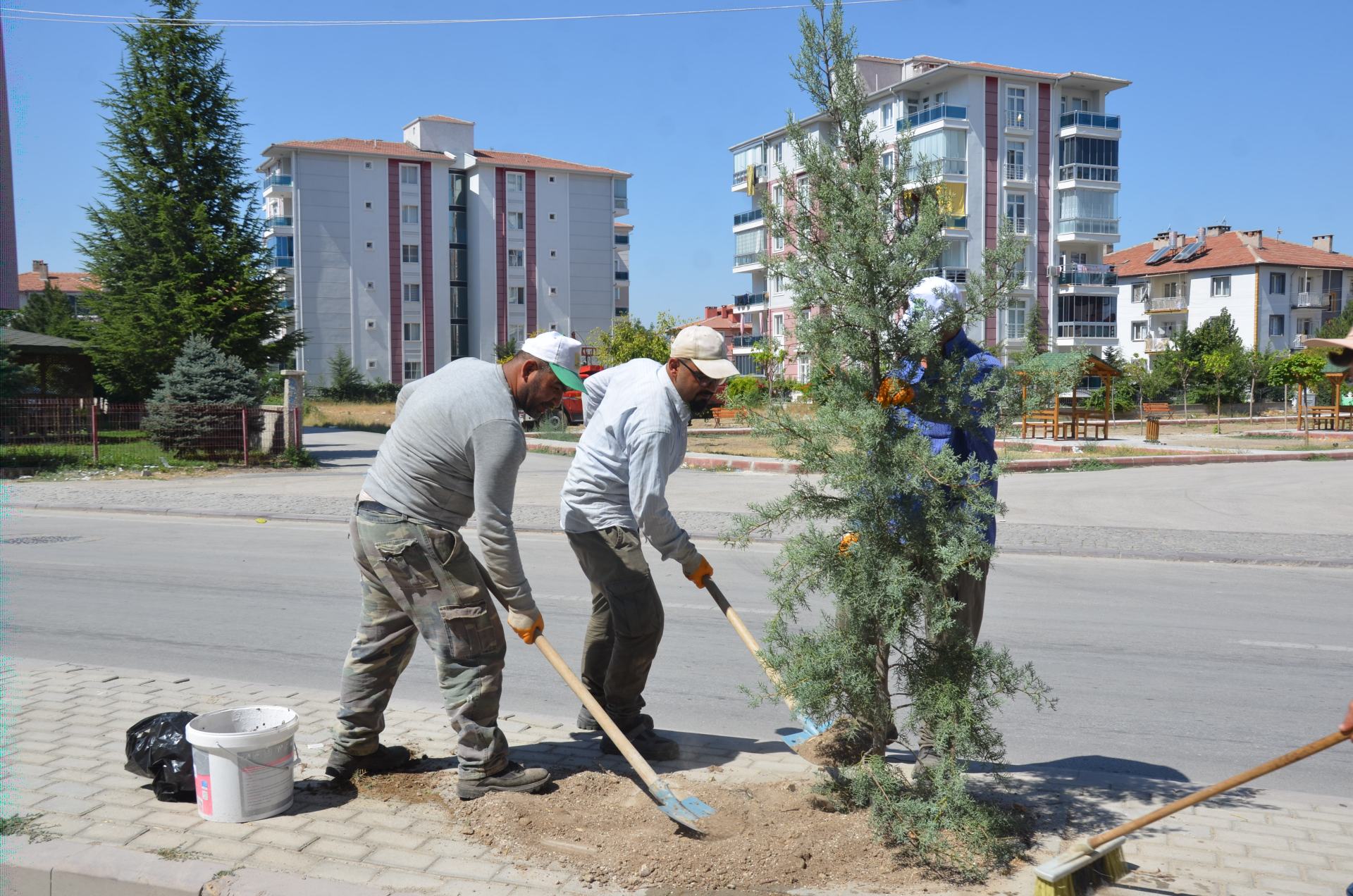 Yunuslu Mahallesi'nde Ağaçlandırma Çalışması Gerçekleştirdi